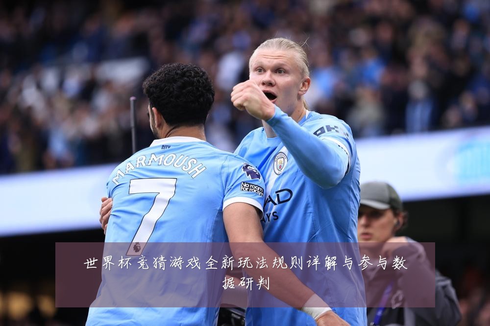 世界杯竞猜游戏全新玩法规则详解与参与数据研判